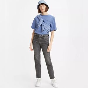 NWOT Levi's 27 Modern Contemporary High Rise Button Fly Wedgie Icon Fit Jeans